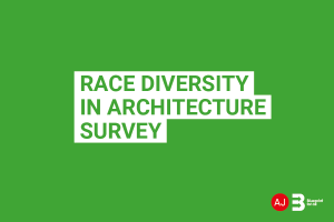 RACE-DIVERSITY-BANNER-300x200.png